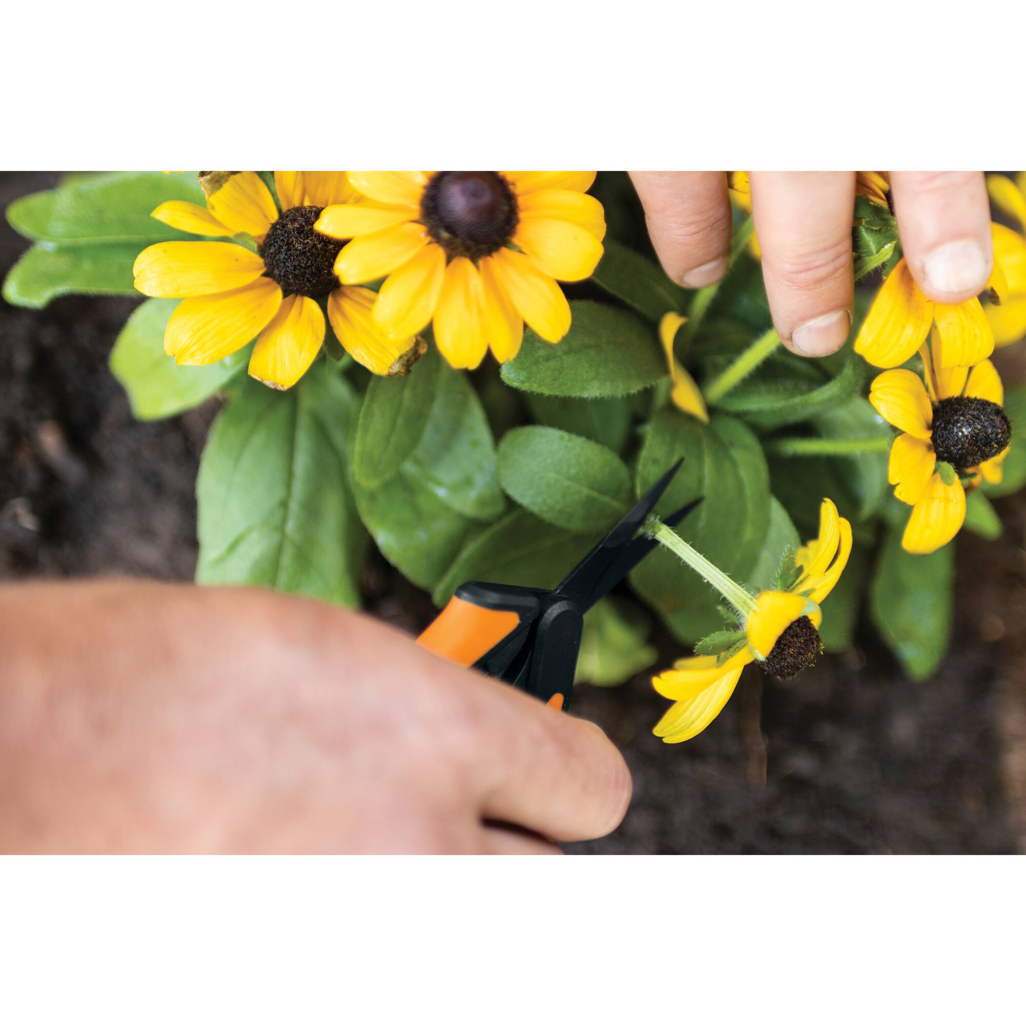Fiskars® 6" Non-Stick Micro-Tip® Pruning Snips